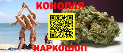 тгк Новозыбков