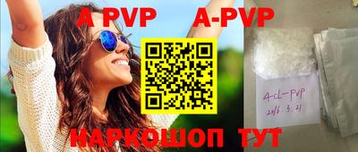 тгк Новозыбков