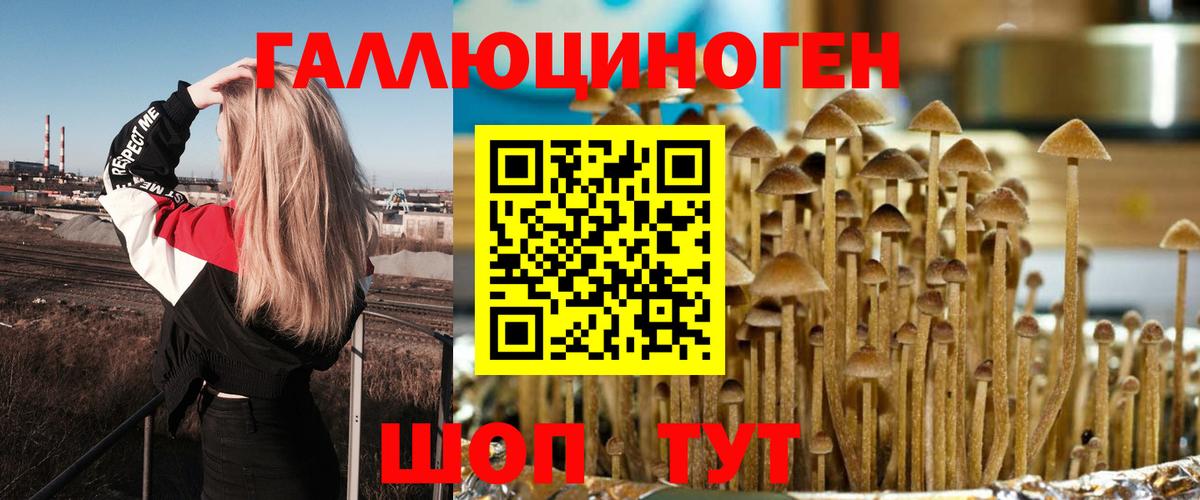 Ачхой-Мартан  Галлюциногенные грибы MAGIC MUSHROOMS  Галлюциногенные грибы MAGIC MUSHROOMS  Вход с VPN 